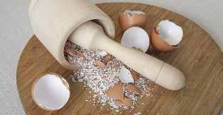 Eggshell si burim i kalciumit